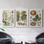 Exotic Botanique I - Ensemble de 3 peintures sur toile encadrées-595385047-595385051