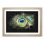 Peacock Feathers - Picture Frame Graphic Art Print-56861509-56861512