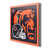 Chicago Bears