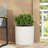 MGO PLANTER-1530352689