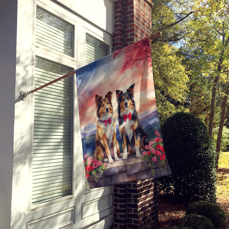 Double Sided 40'' H x 28'' W Polyester Valentine's Day House Flag