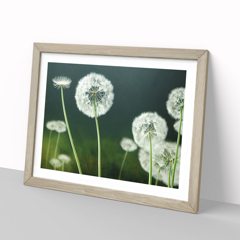 Mesmerising Dandelion Flowers 1 Piece Single Picture Frame Wall Art, 25cm H x 34cm W x 2cm D, Oak