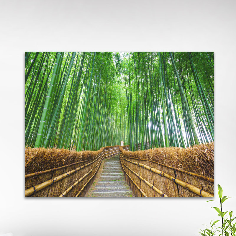 Path to Bamboo Forest - Reproduction de photo sur toile tendue, H 20 po x l 20 po x P 1 po, Toile tendue