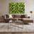 Fruit Kiwi Green Canvas Wall Art