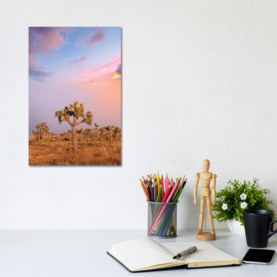 Lovely Sunset at Joshua Tree National Park 1 Piece Wall Art on Canvas