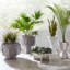 Hans Handmade Planter