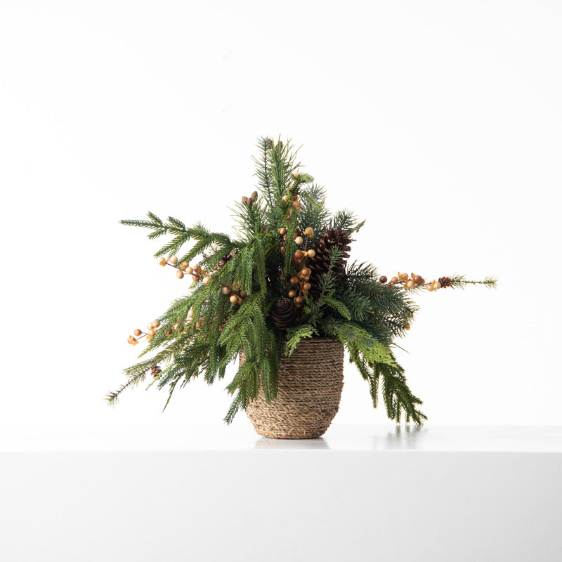 Arrangements floraux en pot