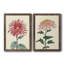 Toile de chrysanthème-1154156165-1154156185