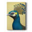 ANIMALS Series CECLXV - Gallery Cavas sur mesure-898529758