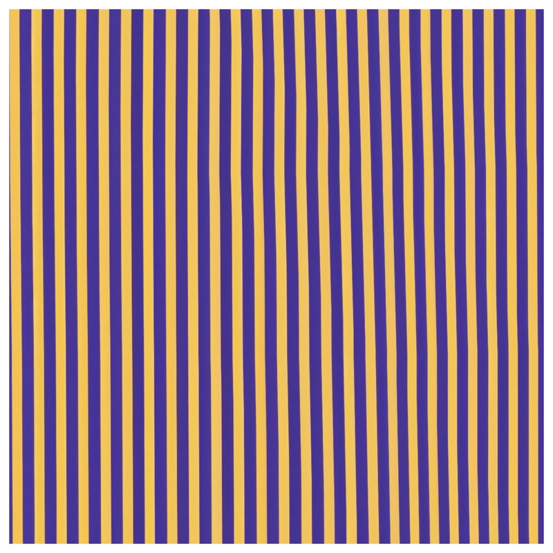 Coussins décoratifs à rayures orange et mauve, 20 x 20 pouces