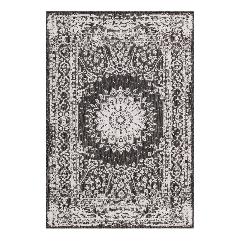 Ornate Lamotte Indoor/Outdoor Area Rug, Rectangle 4'1" x 6'1"