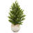Olive Cone Artificial Topiary Tree in Planter