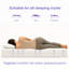 Alwyn Home Foam Mattress-125894699