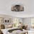 20-Inch Caged Ceiling Fan With Light, Low Profile Flush Mount Farmhouse Enclosed Fandelier, 7-Speed Reversible DC Motor, Remote Control, E26 Bulb Base (Bulbs NOT Included), For Bedroom Living Room