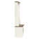 Arignote Hall Tree 31.3'' Wide with Bench and Shoe Storage