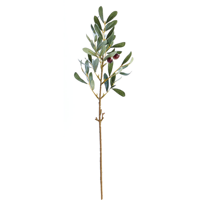 Tarik Olive Stem