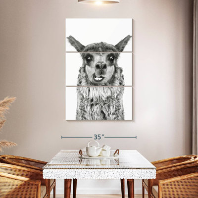 Brampt Happy Alpaca In Black And White