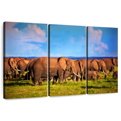 Calm Morning Elephants