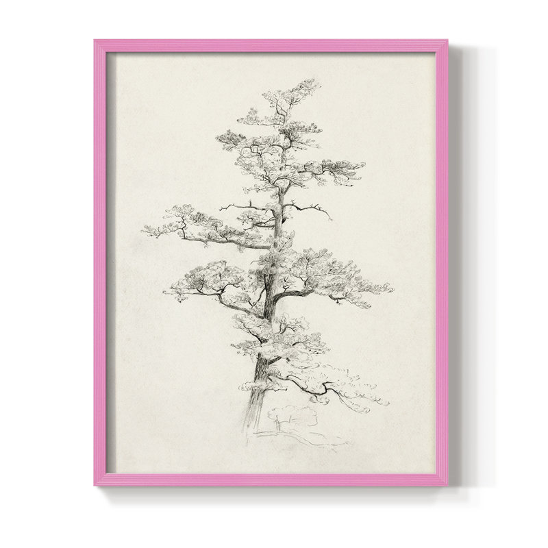 Vintage Sketch XC Framed Print - Solid Wood, 21" H x 17" W, Pink
