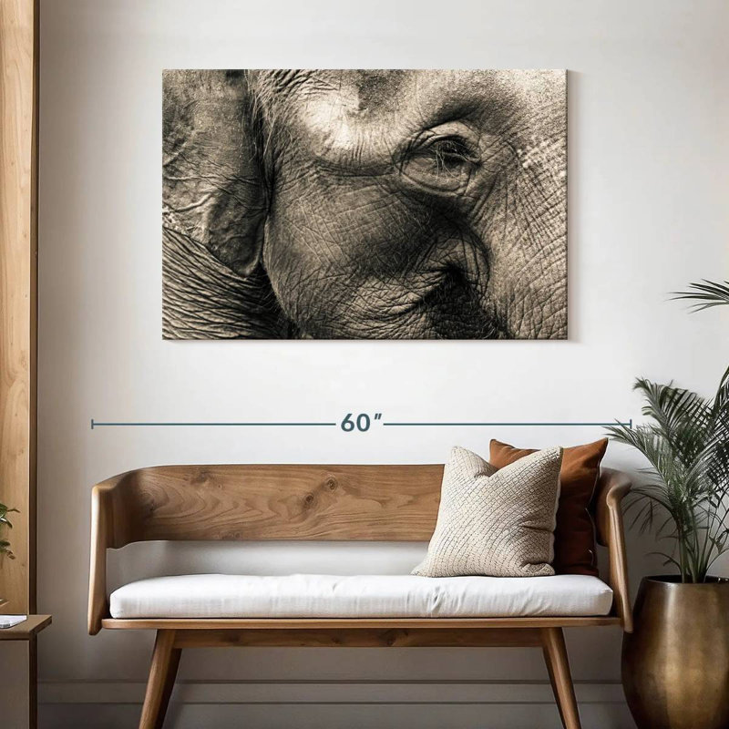 Brampt Wrinkled Elephant Face, 30" H x 45" W