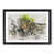 Black Framed selected