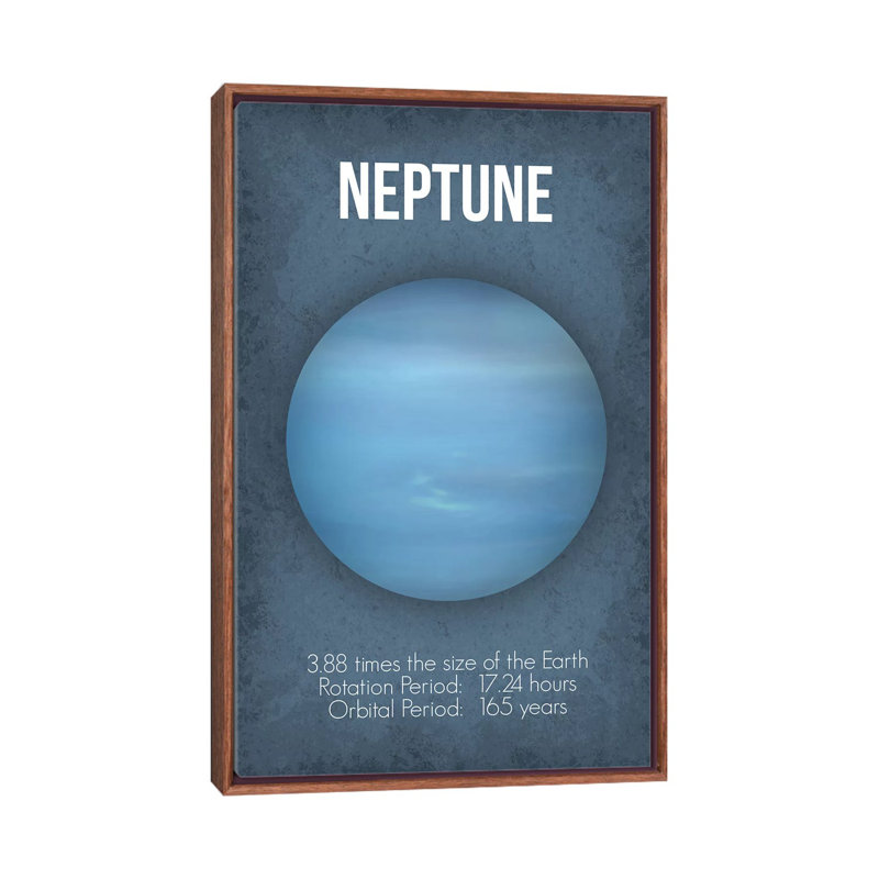 Décoration murale Neptune Kids, Toile classique avec cadre brun, H 26 po x l 18 po x 1,5 po