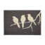 Paillasson Laurrine-436942905-436942906