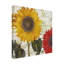 Art sur toile «Bachelor Sasha Sundresses I»-104104670