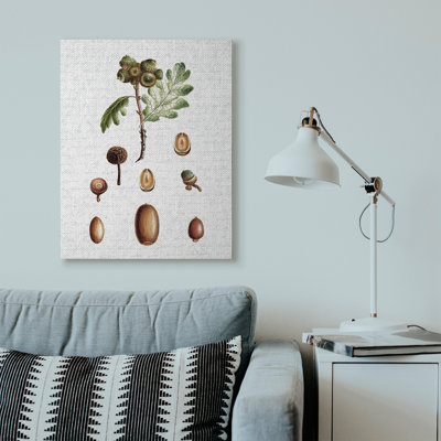 " Tree Seeds Nuts Fall Autumn Seasonal Design "