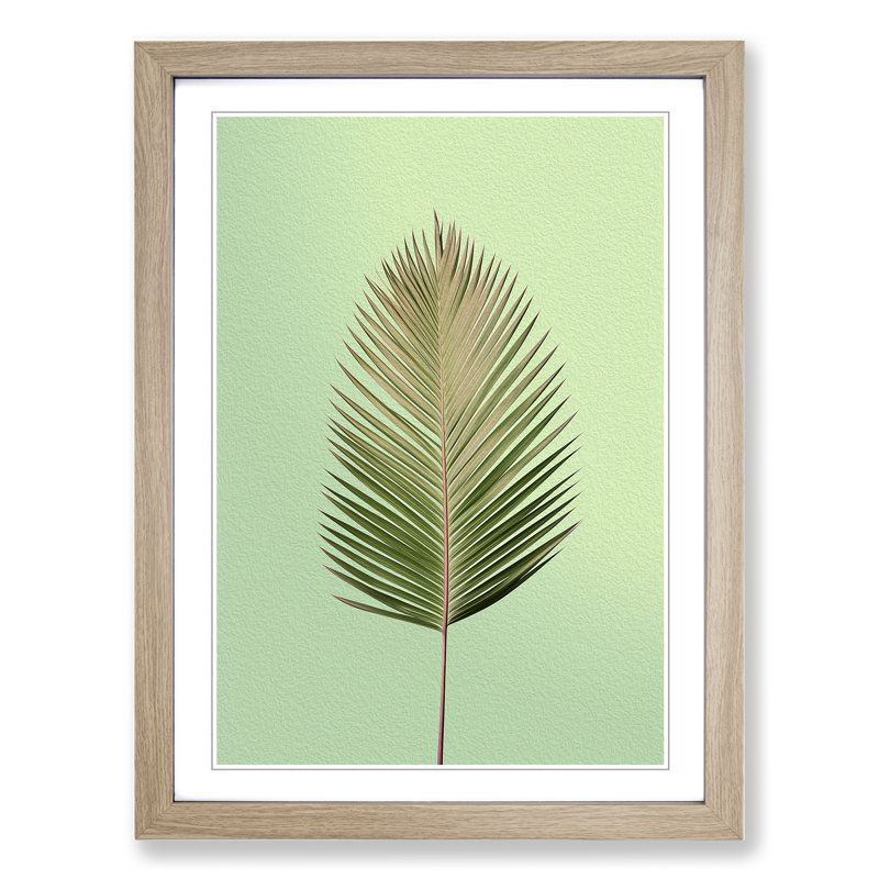 Palm Leaf Minimalism No.2 - Single Picture Frame Print on Wood, Oak Framed, 34cm H x 25cm W x 2" D