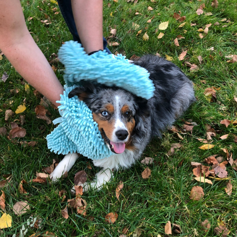 Chatière en microfibre Perro & Gato, H 24 po x l 14 po x P 0,5 po, Turquoise