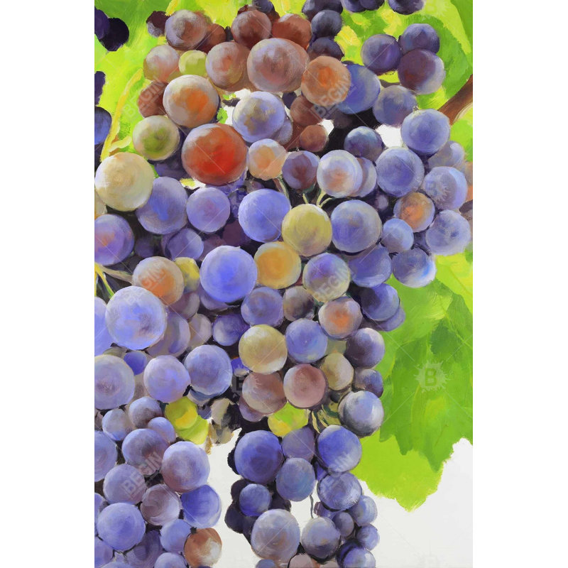 Grappe de raisin - Toile illustrative pour la décoration intérieure, H 36 po x l 24 po