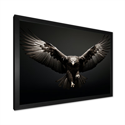 «Bold Eagle Power Hunter II», impressions encadrées