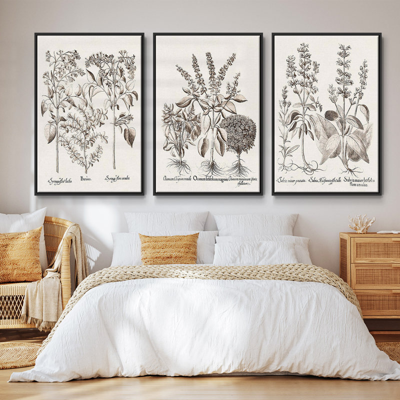 Sépia Besler Botanicals I 3 pièces, Noir, H 27 po x l 54 po