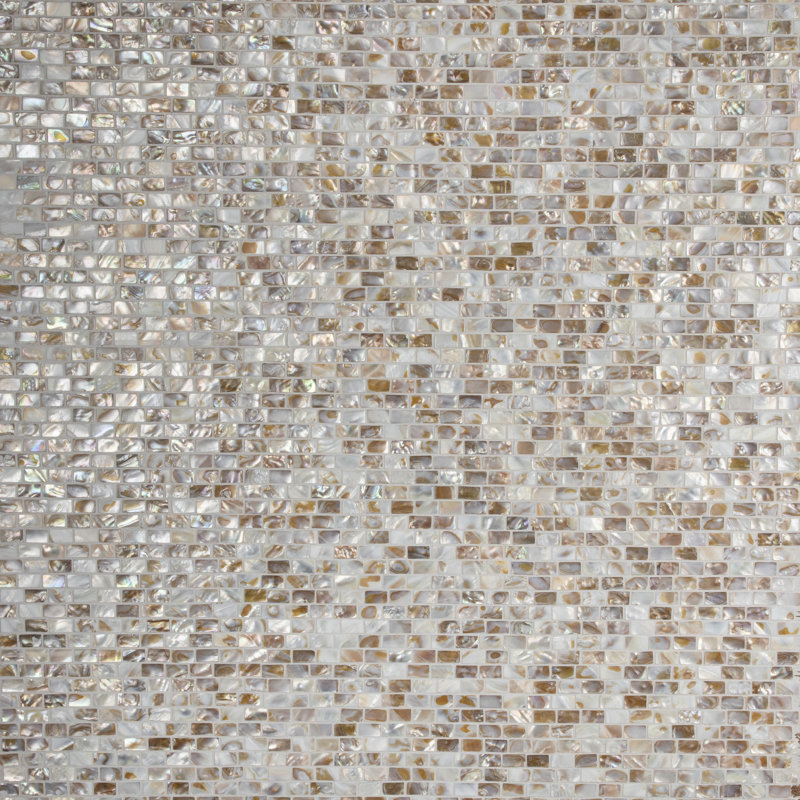 Conchella Subway Natural 11-1/2"x 11-7/8" Natural Seashell Mosaic Wall Tile