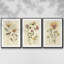 Iridescent Blue Poppy I, ensemble de 3 toiles encadrées sur toile-97793251-97793250