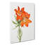 Red Lily by Mary Vaux Walcott - Wrapped Canvas Painting-61837232