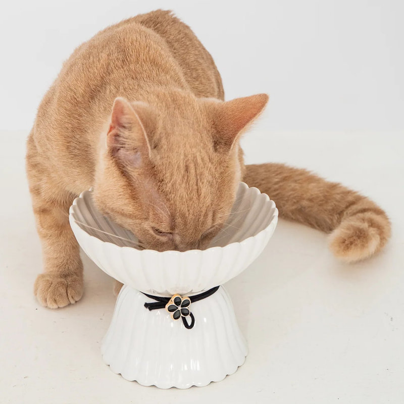 Dexypaws: Elevated Ceramic Cat Bowl - Blush Pink & Rose Gold Flower - 8.45oz, Stylish Pet Feeding Dish, Meals, Food & Water, Ergonomic Height, Raised
