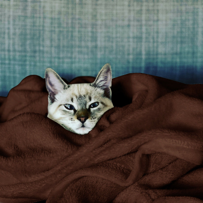 Carsonhill Reversible Mink Faux Fur Plush Fleece Throw/ Blanket, W200 x L240cm, Coffee