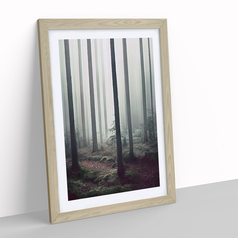 A Quiet Forest - Print, 66cm H x 48cm W x 2cm D, Oak Framed, White