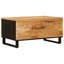 Coffee Table with Storage