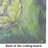 Glover Fly Sage Butterfly Glass Cutting Board