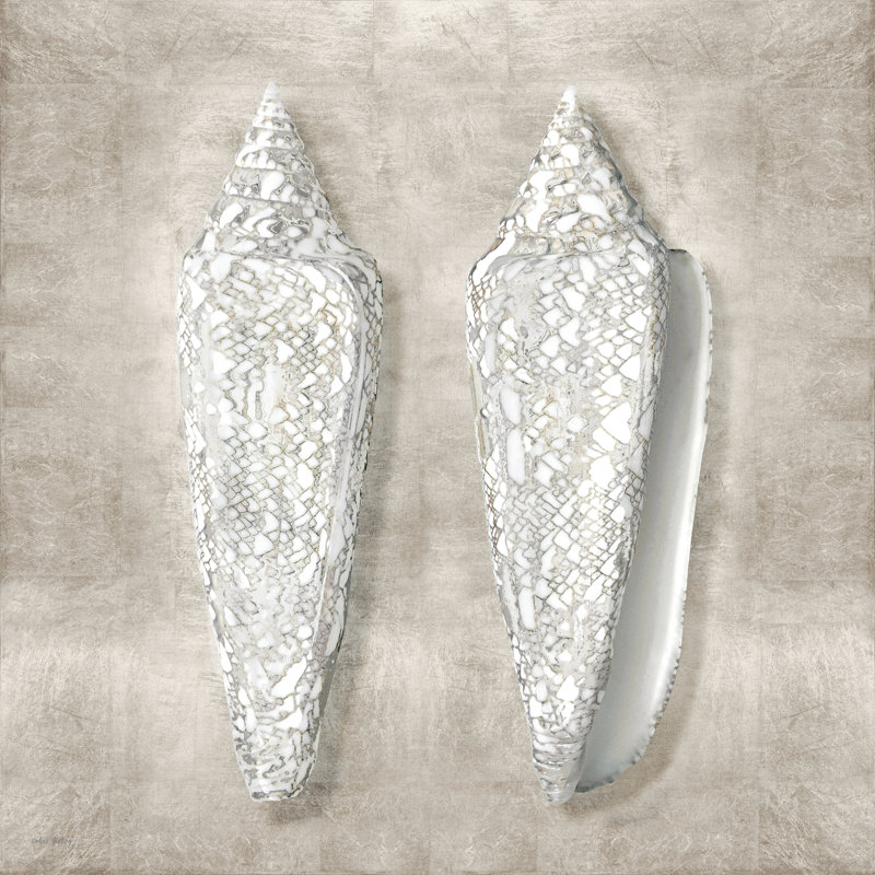 « Coquillages en étain II » par Amber Sterling, Oui, H 36 po x l 36 po, Cadre simple blanc