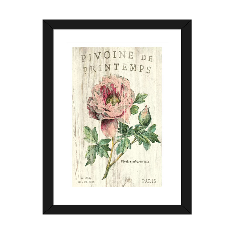 Pivoine de printemps par Sue Schlabach-impression d’art graphique, H 24 po x l 16 po x P 1 po, Papier encadré noir