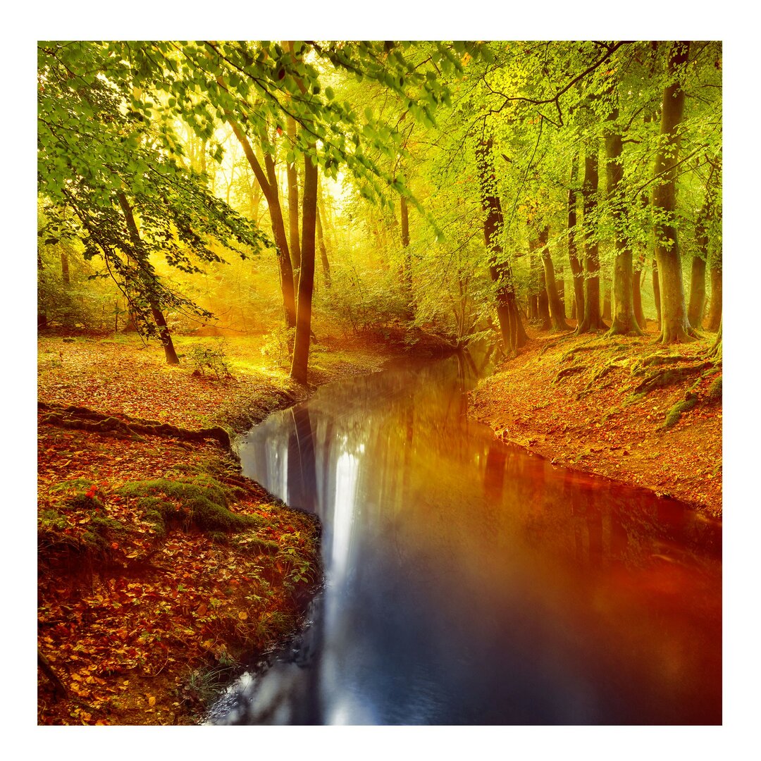 Strukturierte Tapete Autumn Forest