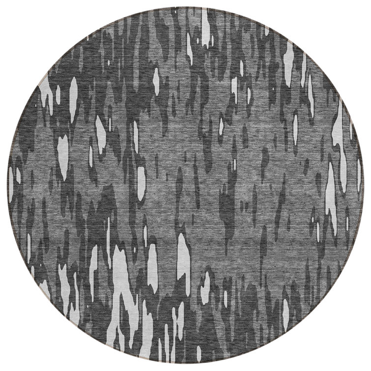 Aleighna Area Rug with Non-Slip Backing