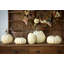 Full Moon Pumpkin Collection, Set Of 5