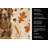 Liver Flat-Coated Retriever Heirloom Fall Kitchen Towel-1218231537