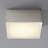 Pyxis Acrylic Flush Mount-19929019