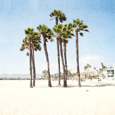Palmiers de Santa Monica - photographie